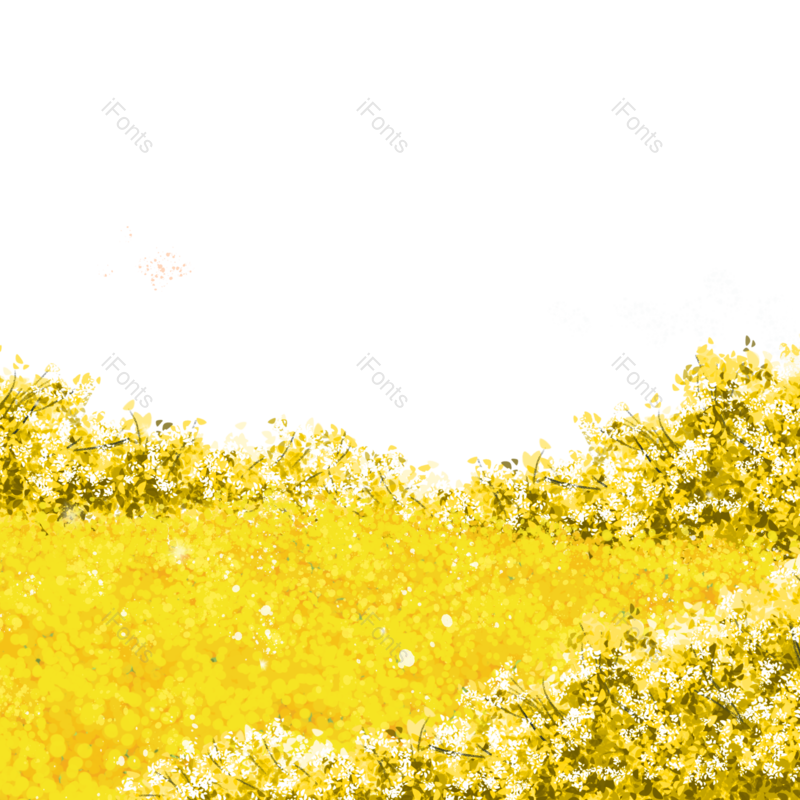 插画图片,素材元素,花朵PNG,鲜花免抠素材